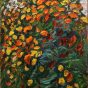 Flores de la primavera